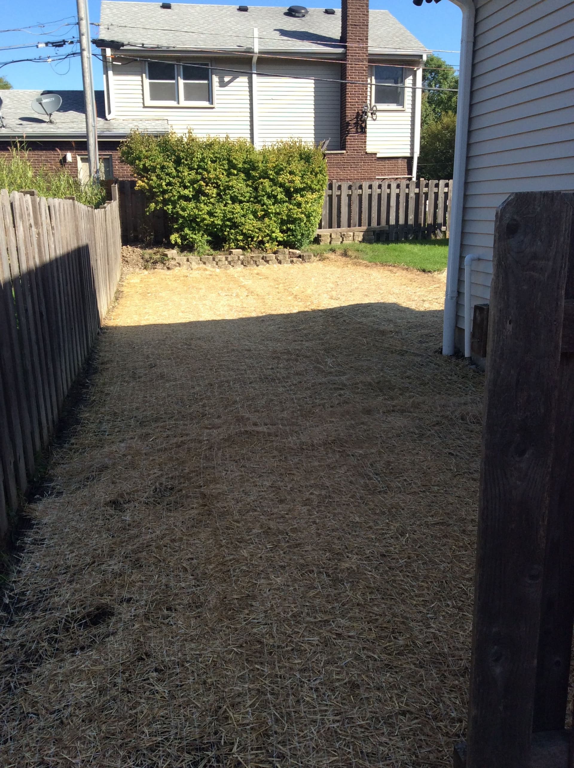 Gallery photos for Reviving a Lawn with Seeding and Grading: Image #4