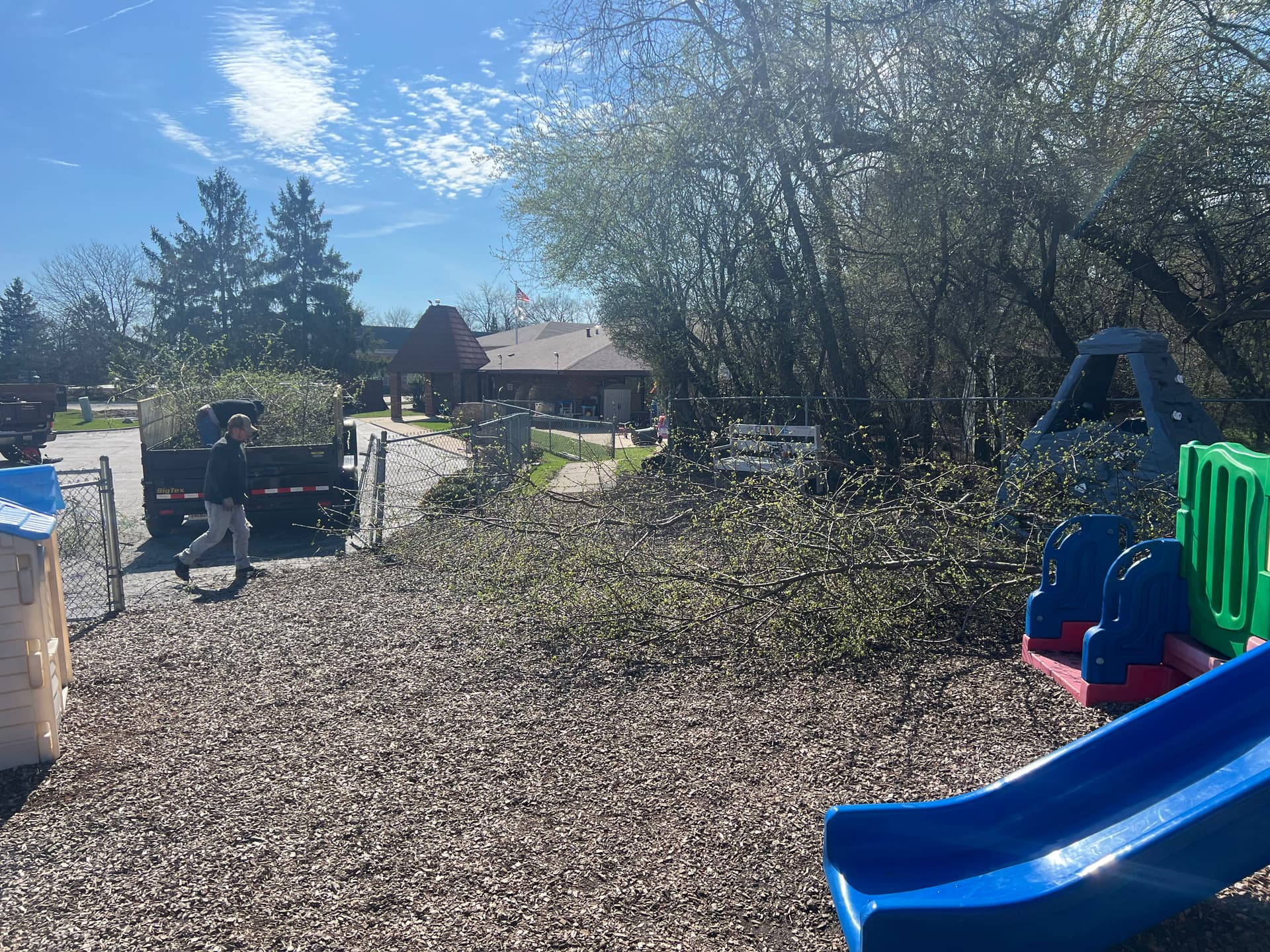 Gallery photos for Overgrown Trees Trimmed Back Around a Playground Area: Image #6