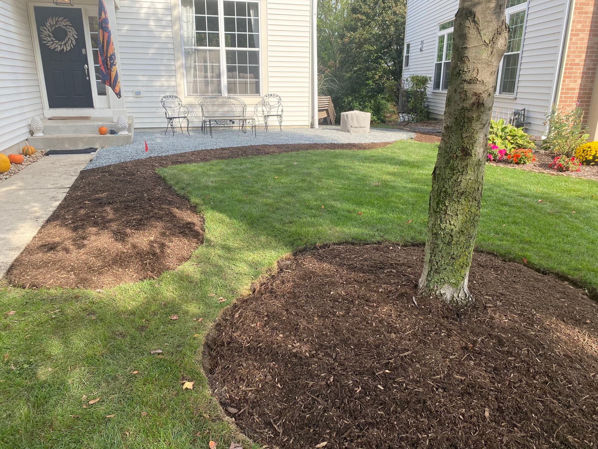 Gallery photos for Boxwood Transplants Fresh Mulch and a Yard That Actually Looks Intentional: Image #2