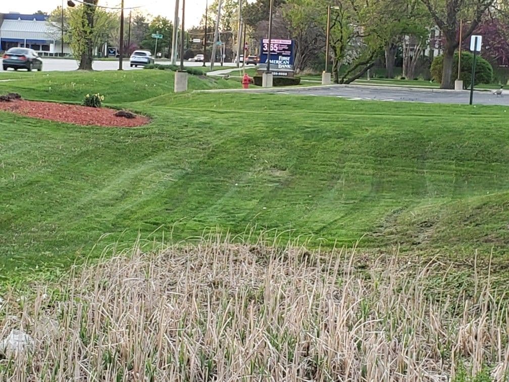Lawn Mowing at Dunkin' Donuts - Clean Cut Rain or Shine image