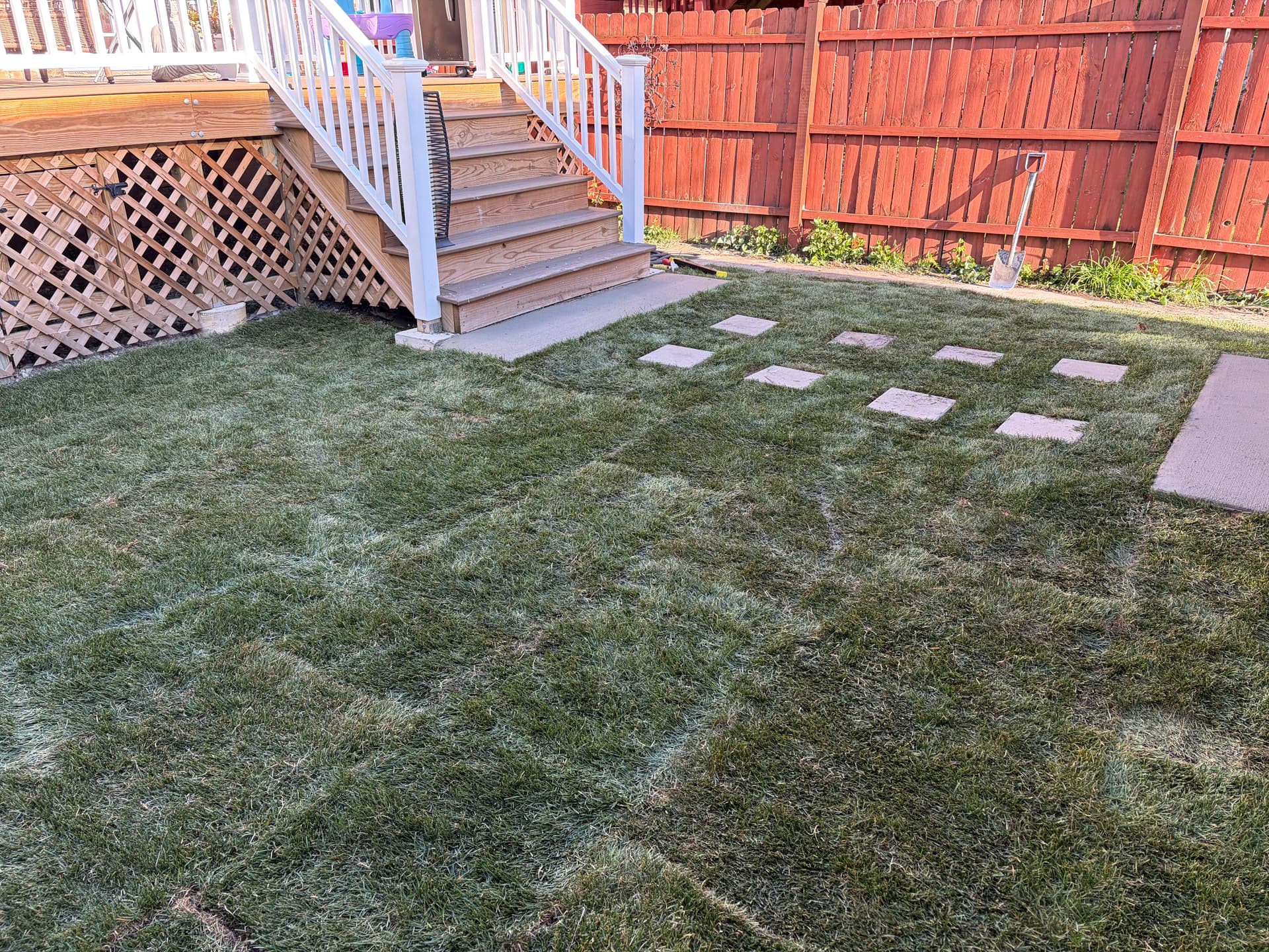 Gallery photos for New Sod and Concrete Work Give This Yard a Fresh Start: Image #5
