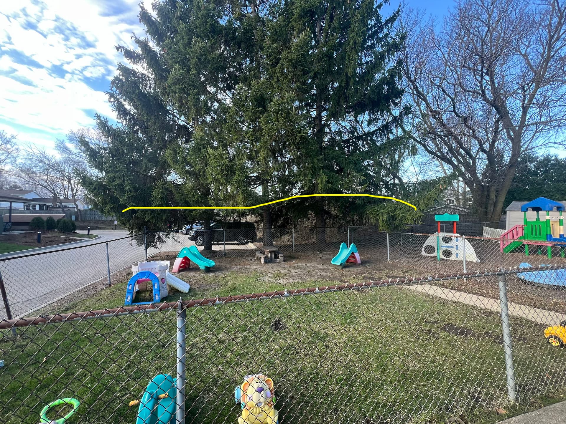 Overgrown Trees Trimmed Back Around a Playground Area image