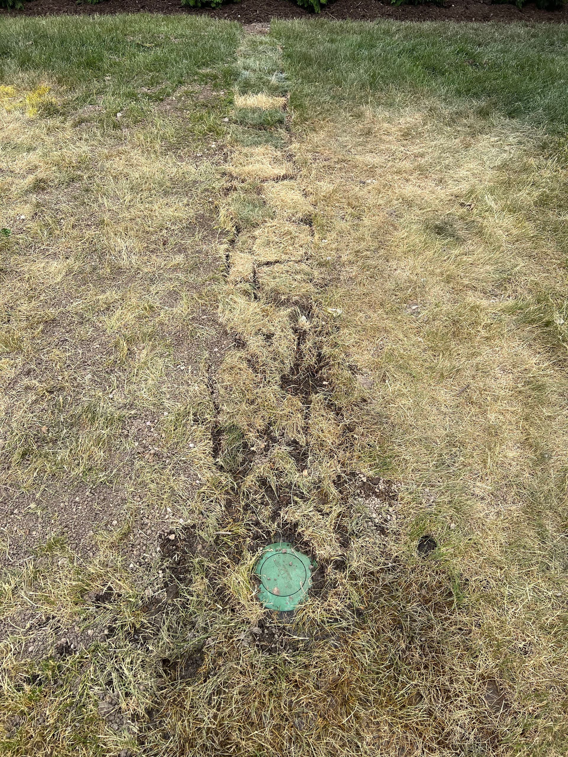 Gallery photos for Comprehensive Lawn Maintenance and Drainage Solutions: Image #5