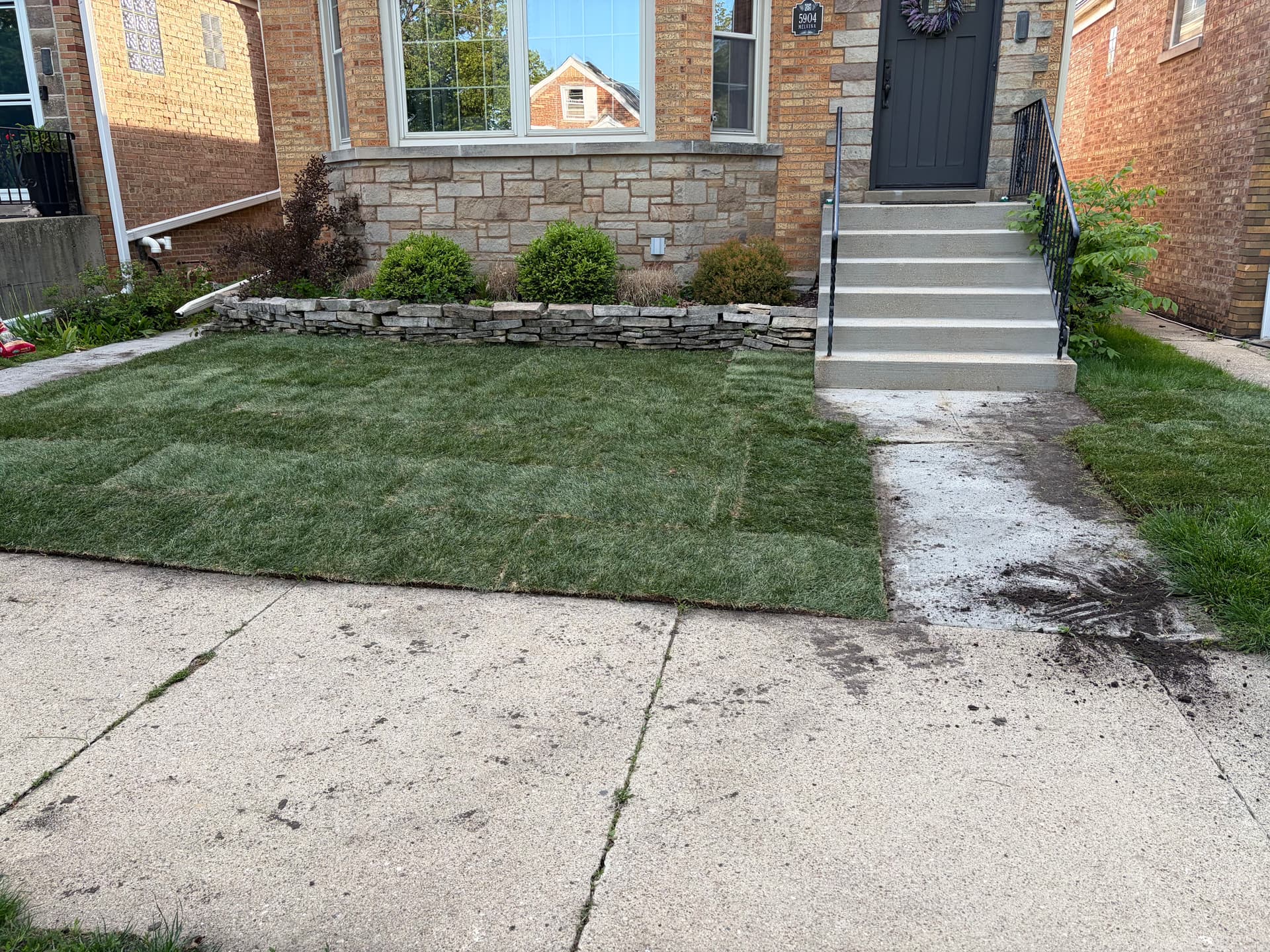 Gallery photos for New Sod and Concrete Work Give This Yard a Fresh Start: Image #3