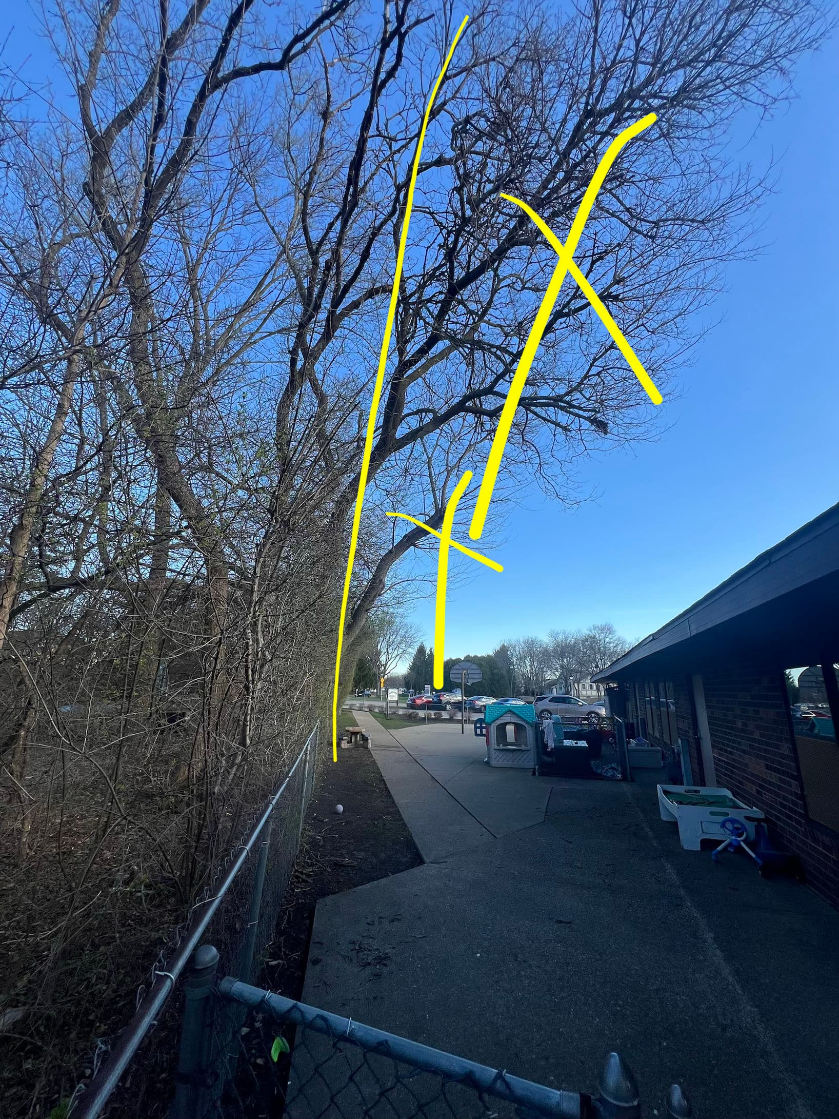 Gallery photos for Overgrown Trees Trimmed Back Around a Playground Area: Image #1