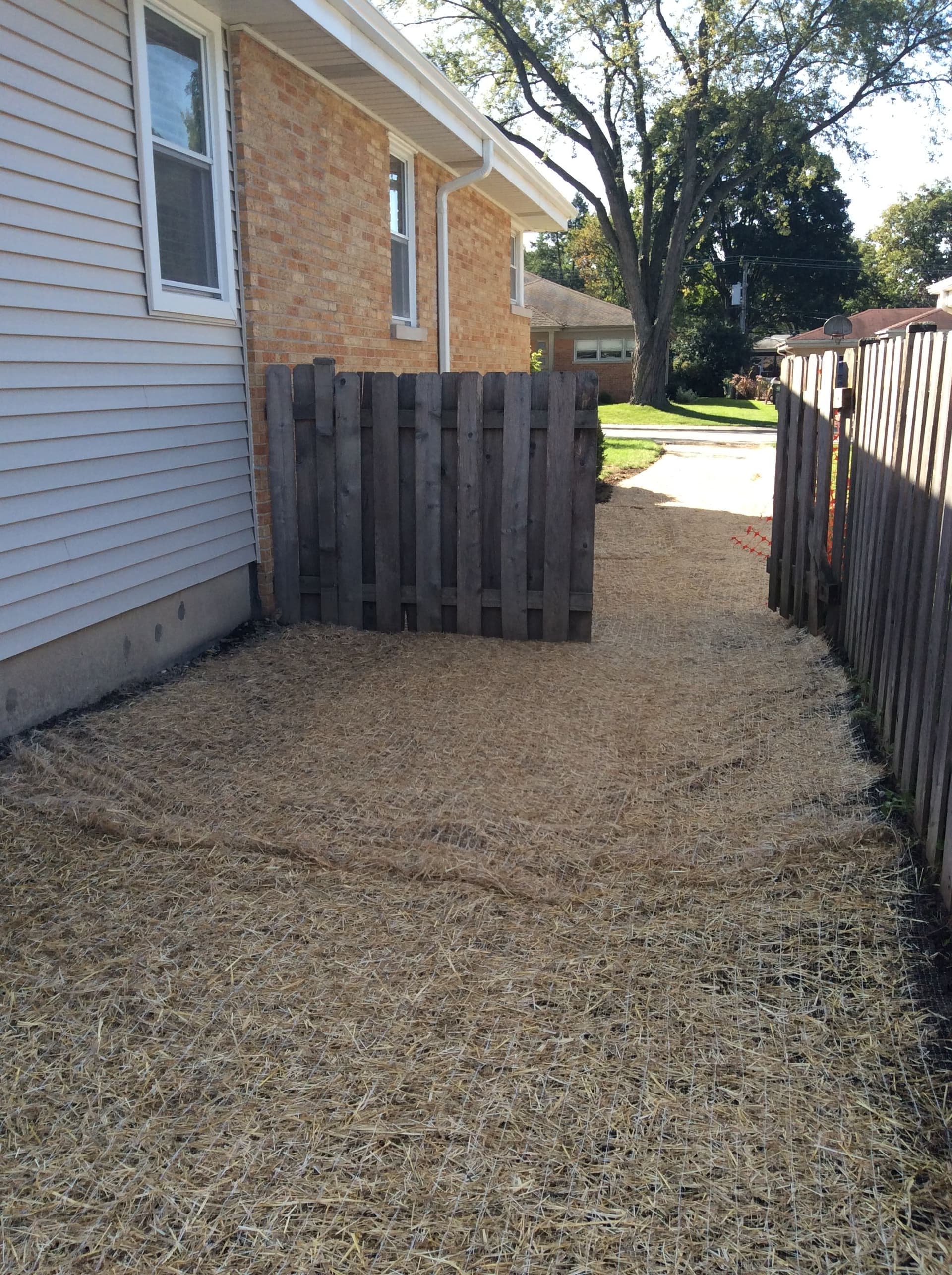 Gallery photos for Reviving a Lawn with Seeding and Grading: Image #7
