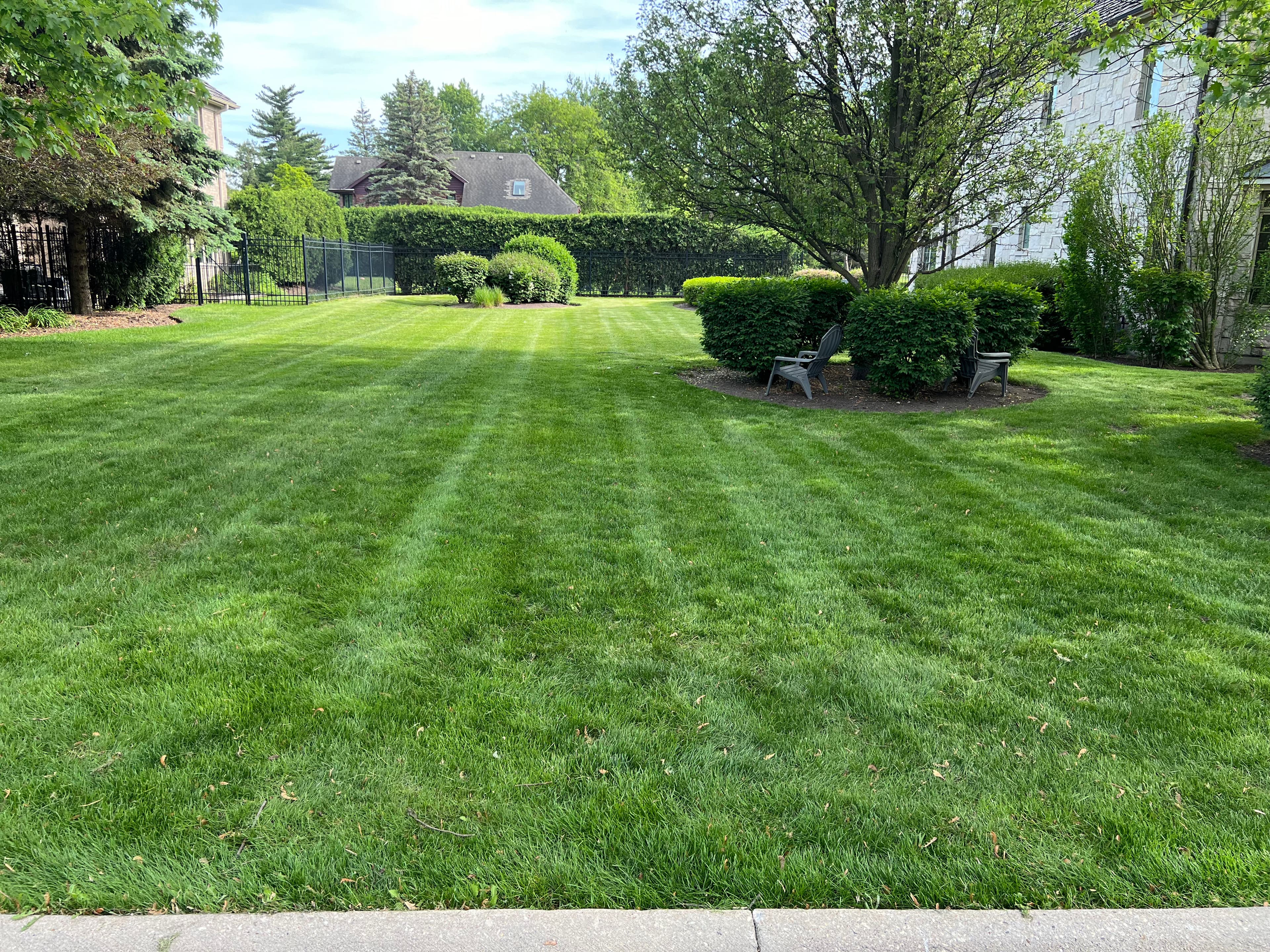 Project Achieve a Lush and Well-Cared-For Lawn image