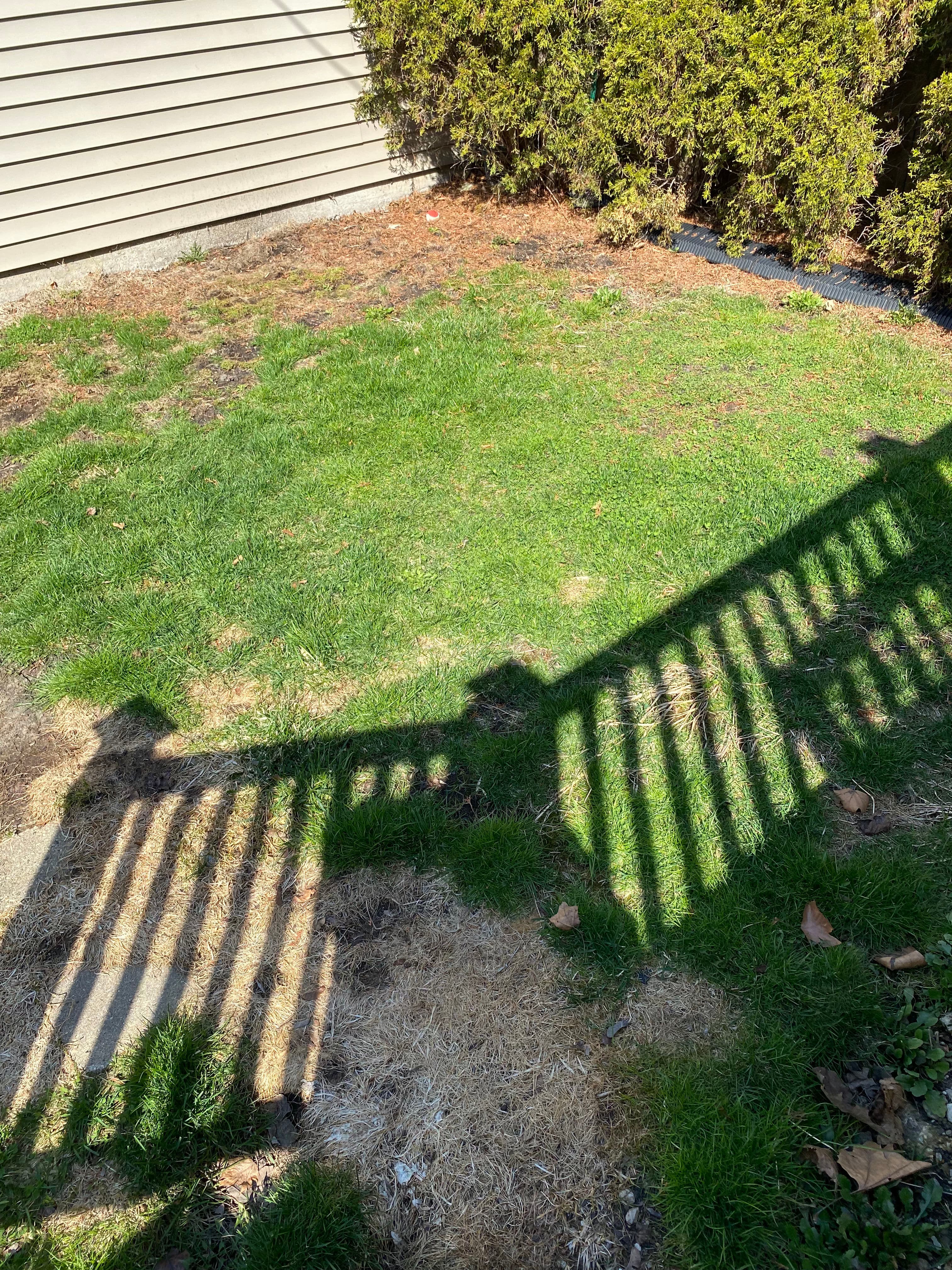 Project New Sod and Concrete Work Give This Yard a Fresh Start image