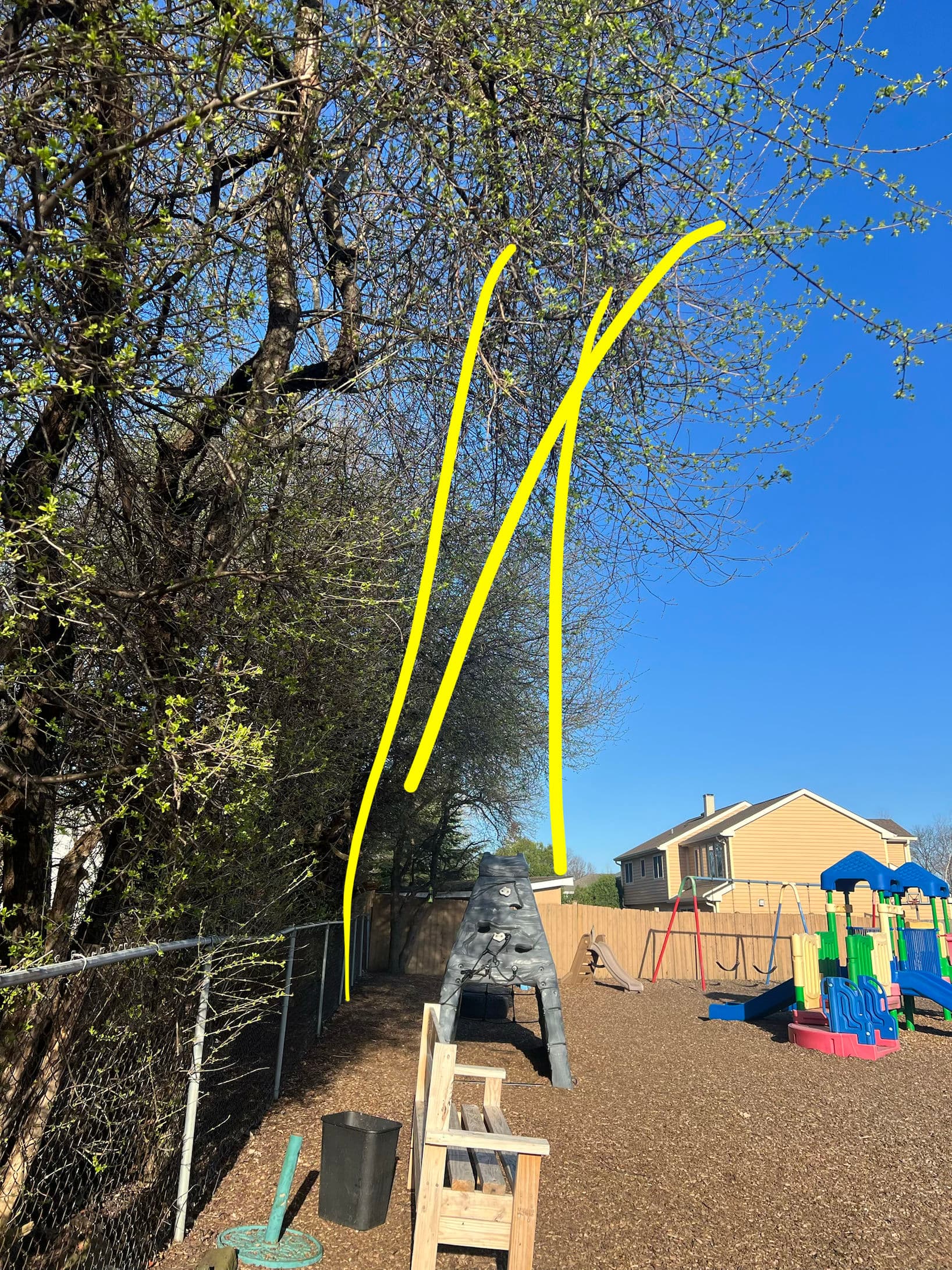 Gallery photos for Overgrown Trees Trimmed Back Around a Playground Area: Image #5