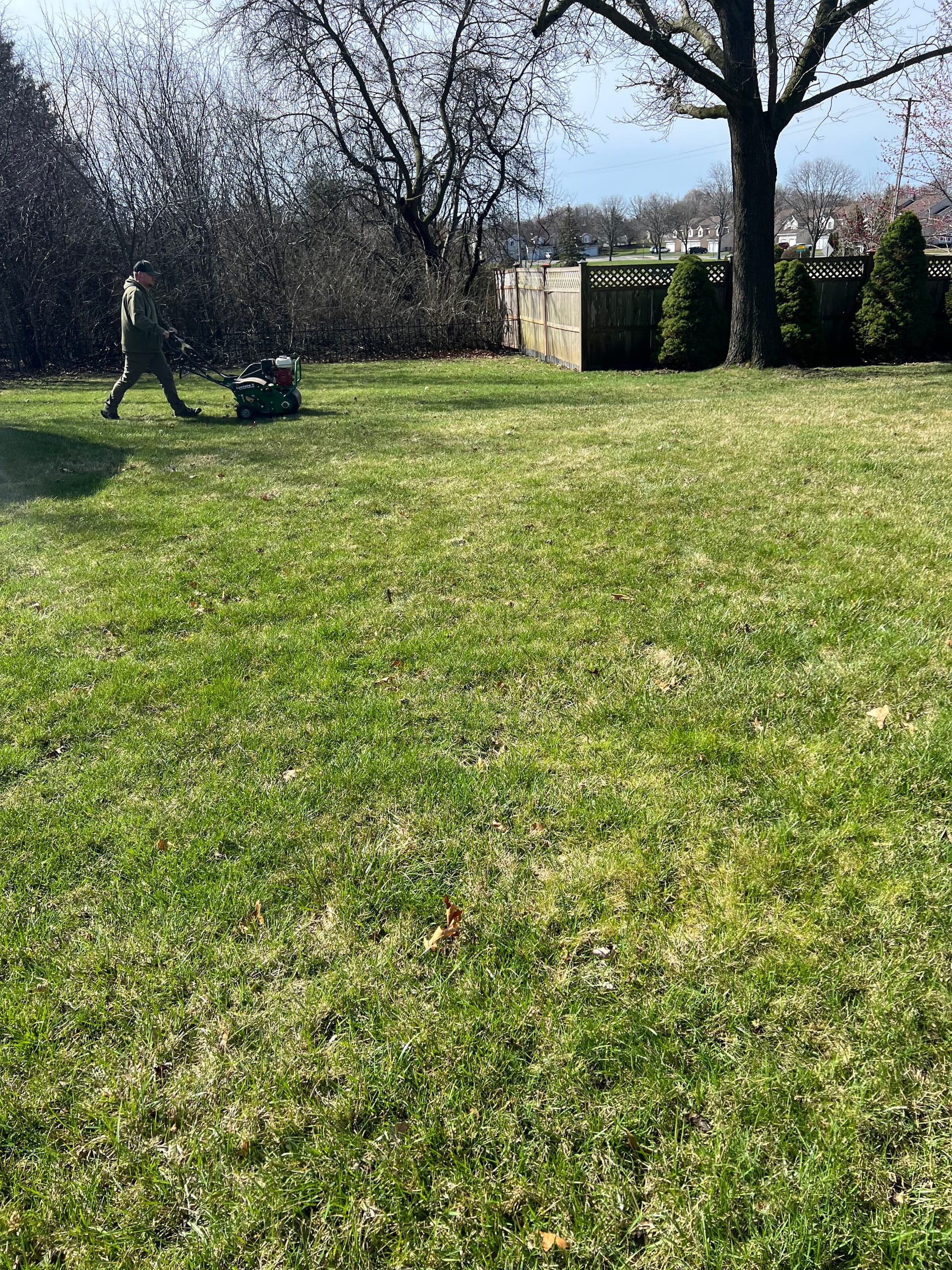 Gallery photos for Breathe Life Into Your Lawn with Our Aeration Process: Image #1