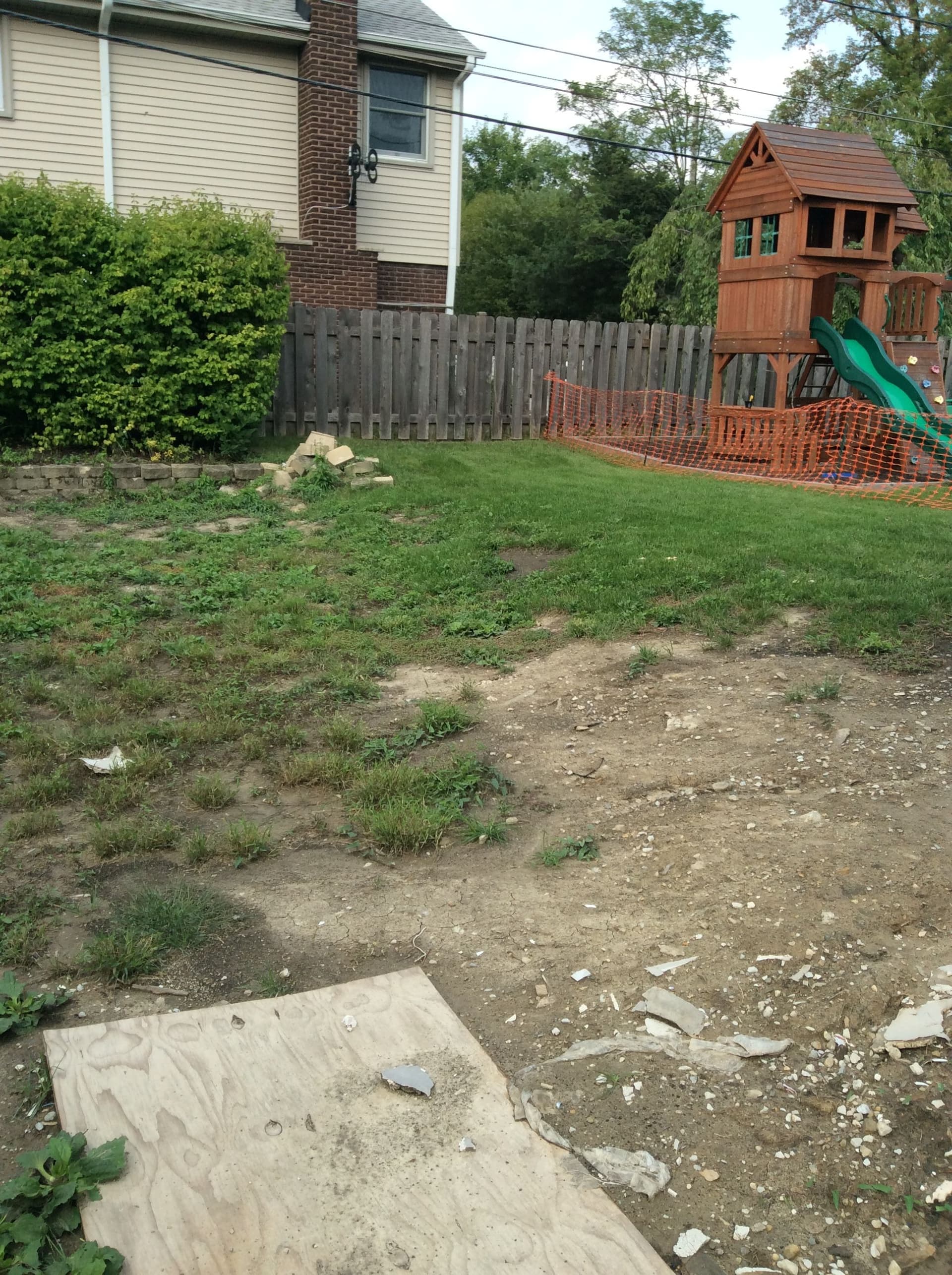 Gallery photos for Reviving a Lawn with Seeding and Grading: Image #1