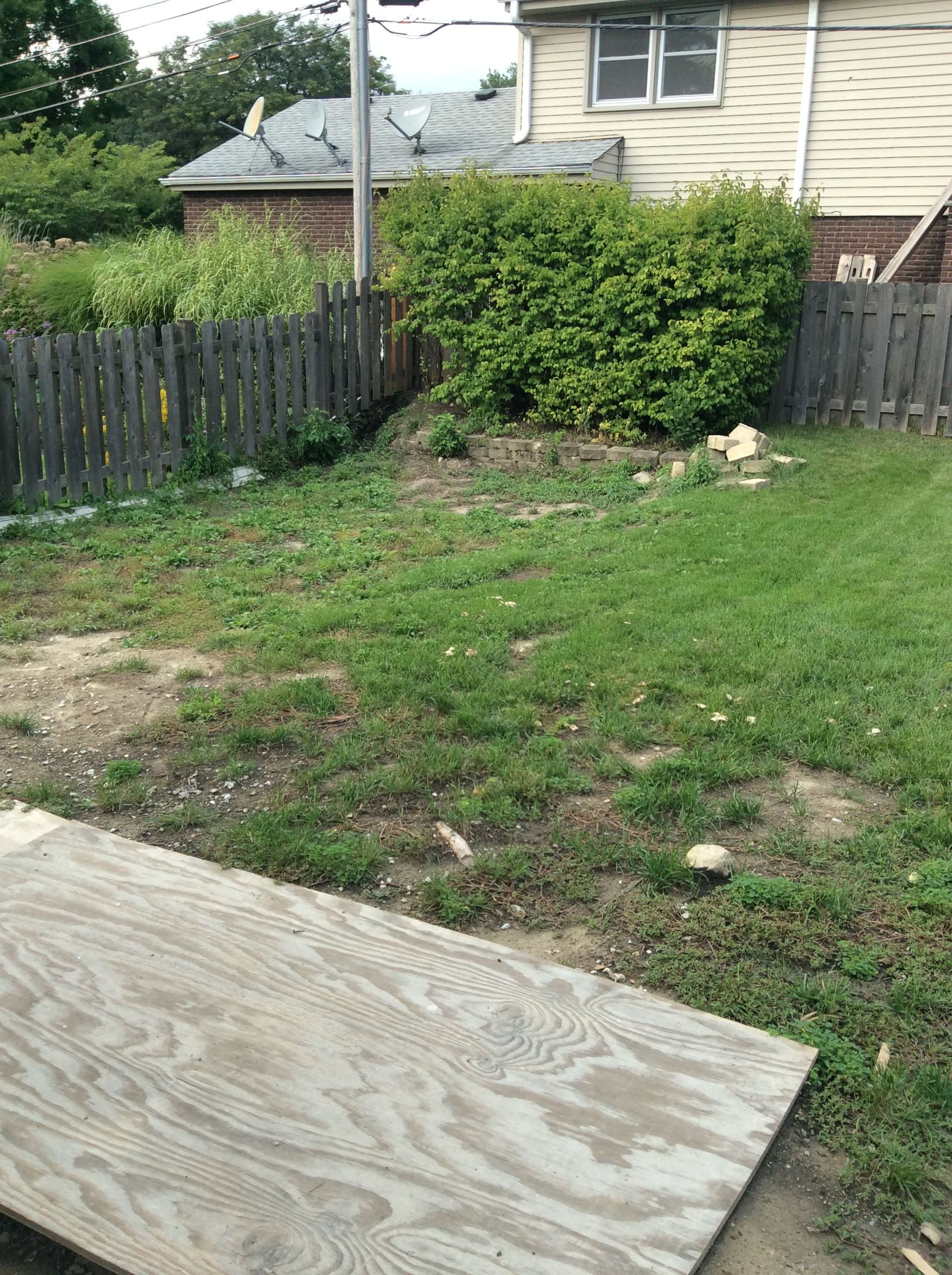Gallery photos for Reviving a Lawn with Seeding and Grading: Image #2