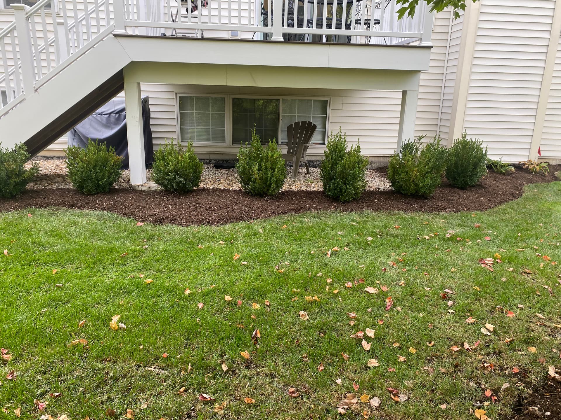Gallery photos for Boxwood Transplants Fresh Mulch and a Yard That Actually Looks Intentional: Image #1