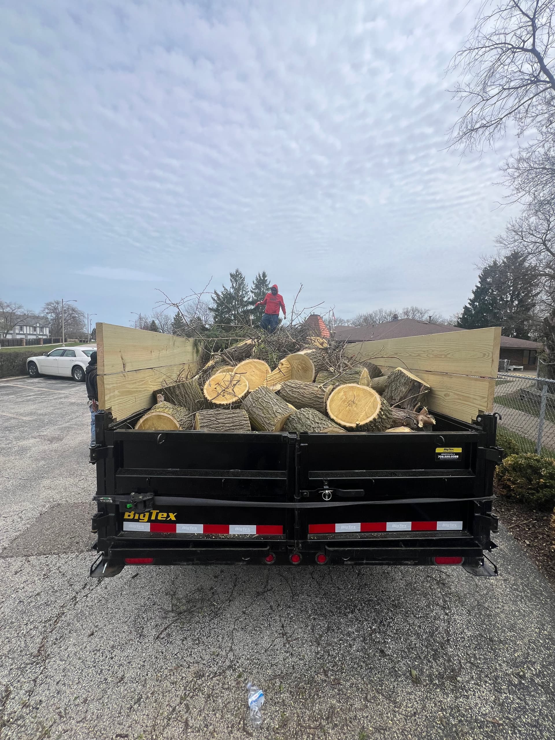 Gallery photos for Overgrown Trees Trimmed Back Around a Playground Area: Image #8