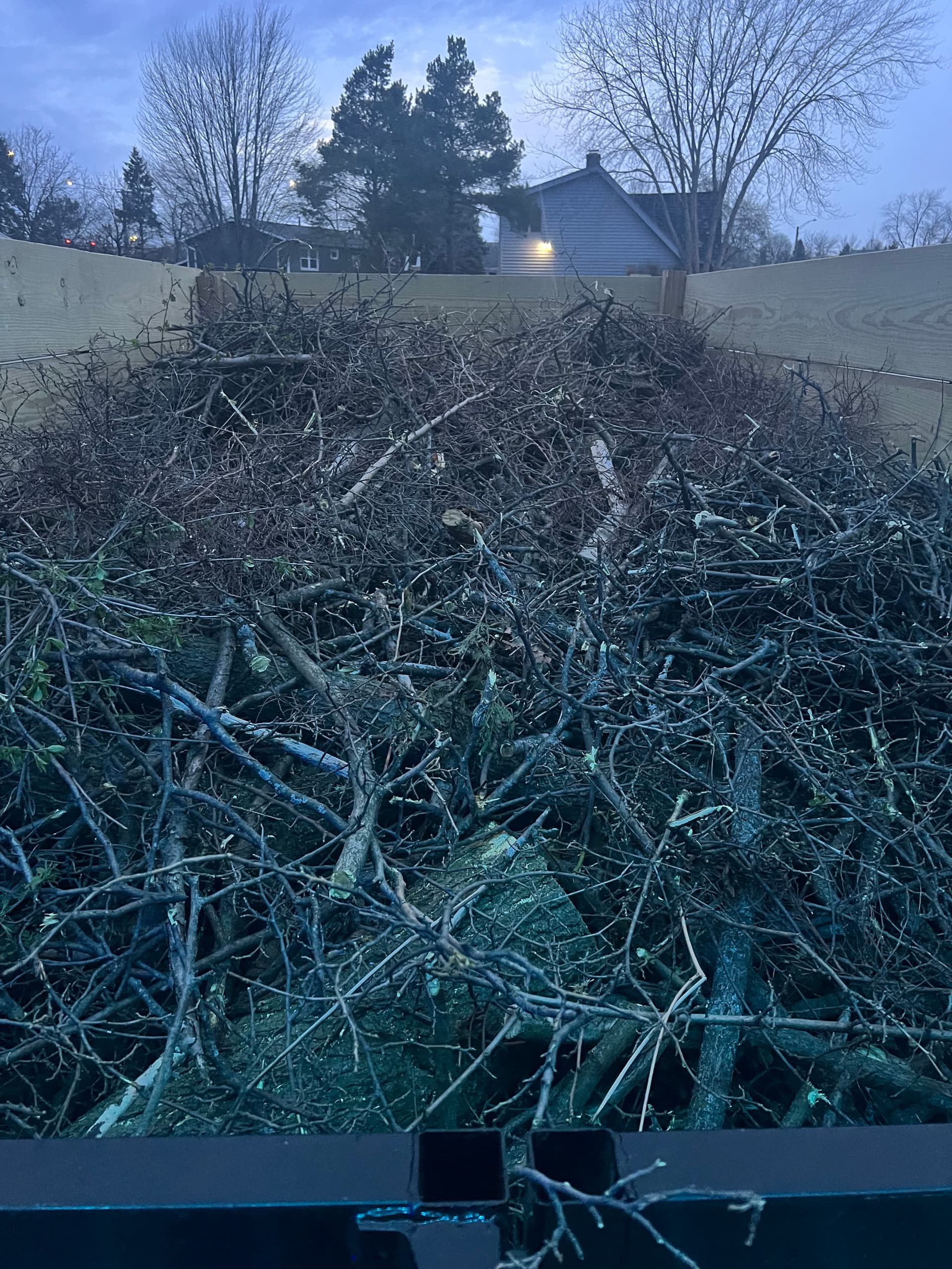 Gallery photos for Tree Trimming and Branch Cleanup at a Community Play Area: Image #8