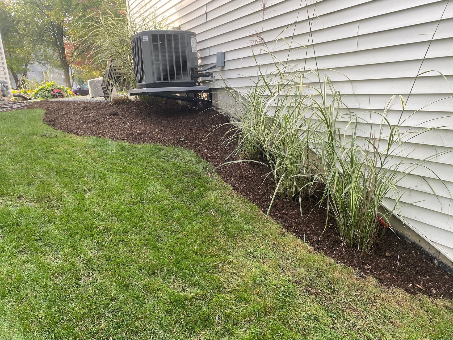 Gallery photos for Boxwood Transplants Fresh Mulch and a Yard That Actually Looks Intentional: Image #3