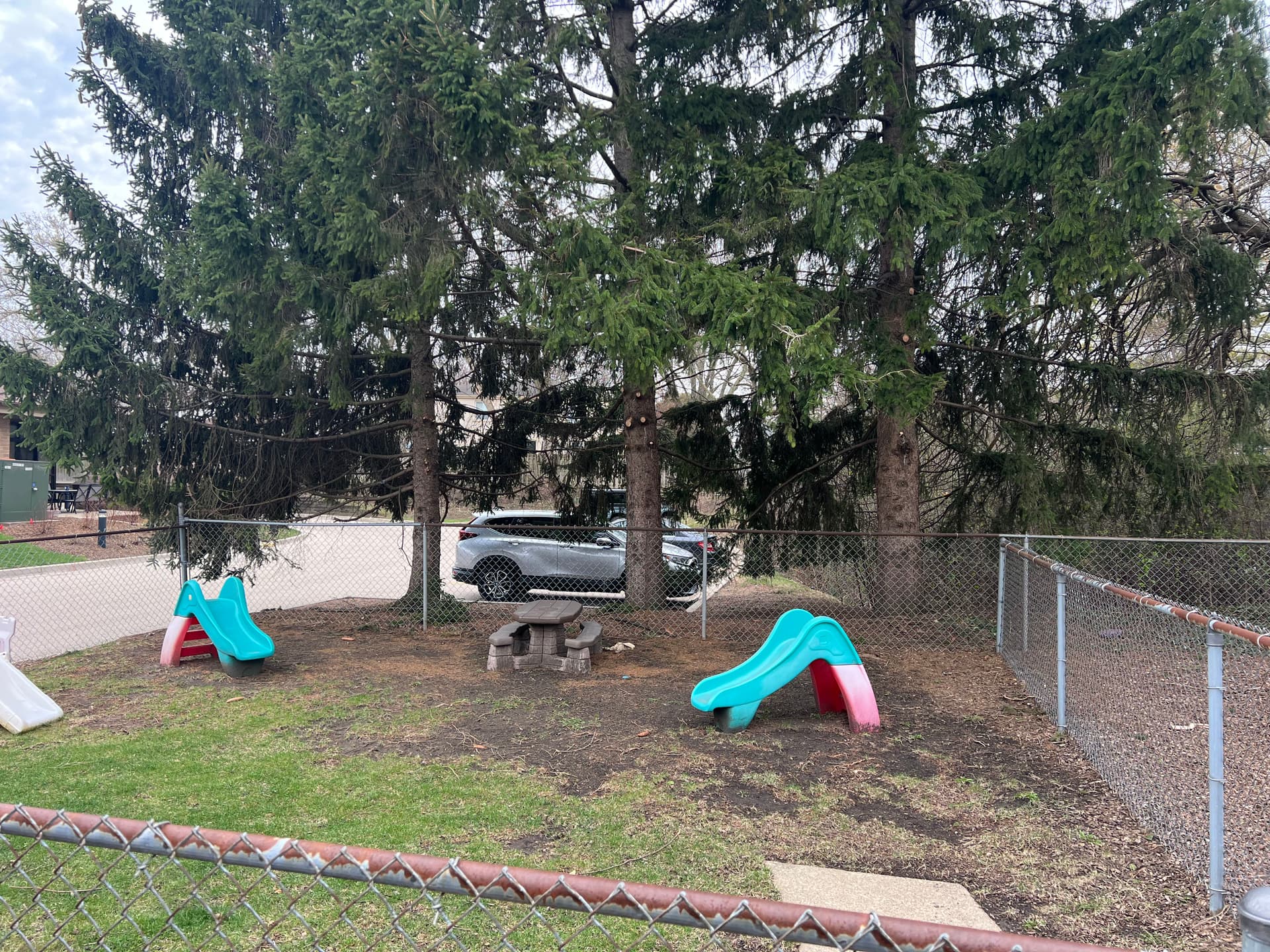 Gallery photos for Tree Trimming and Branch Cleanup at a Community Play Area: Image #1