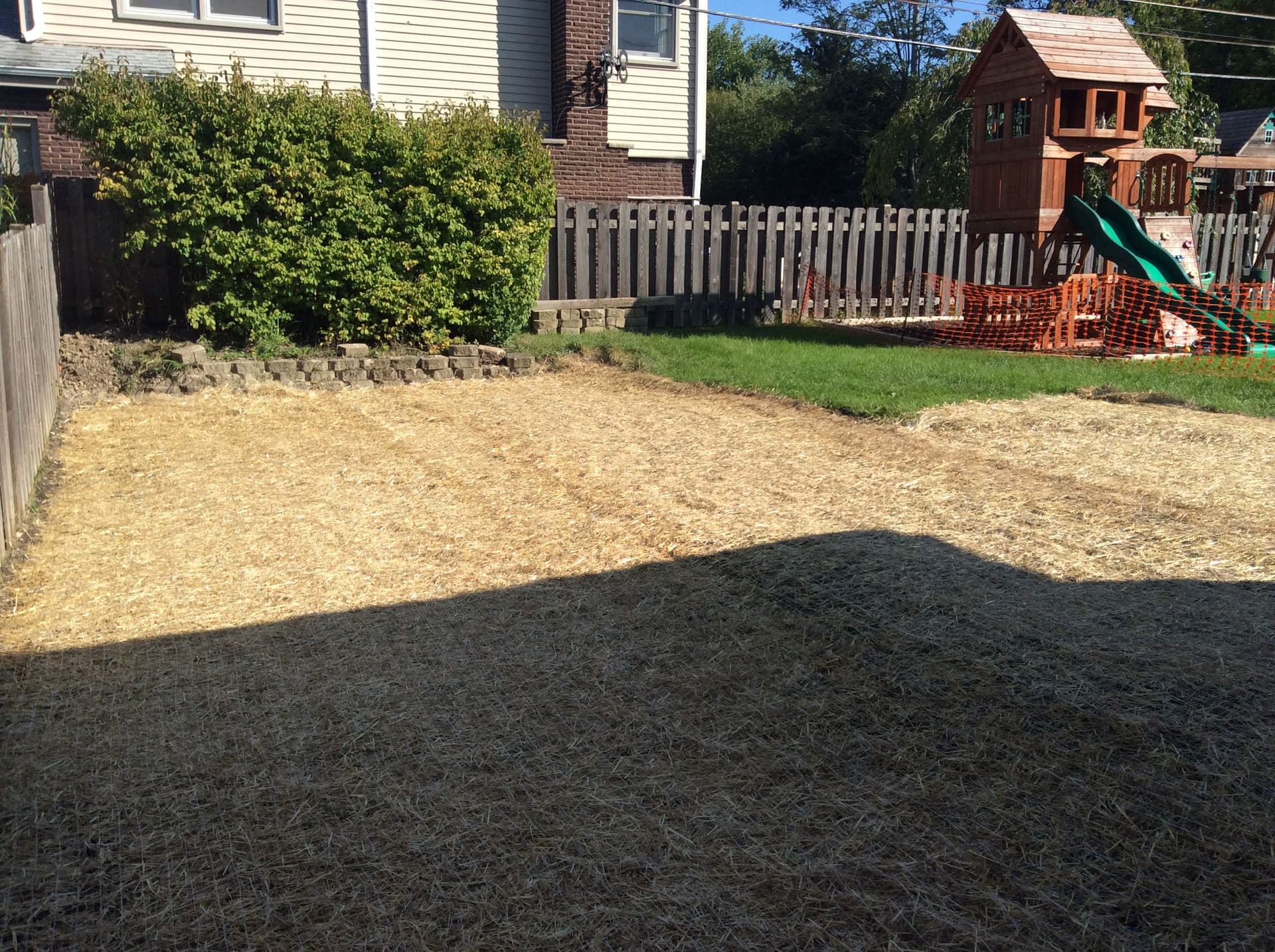 Gallery photos for Reviving a Lawn with Seeding and Grading: Image #5