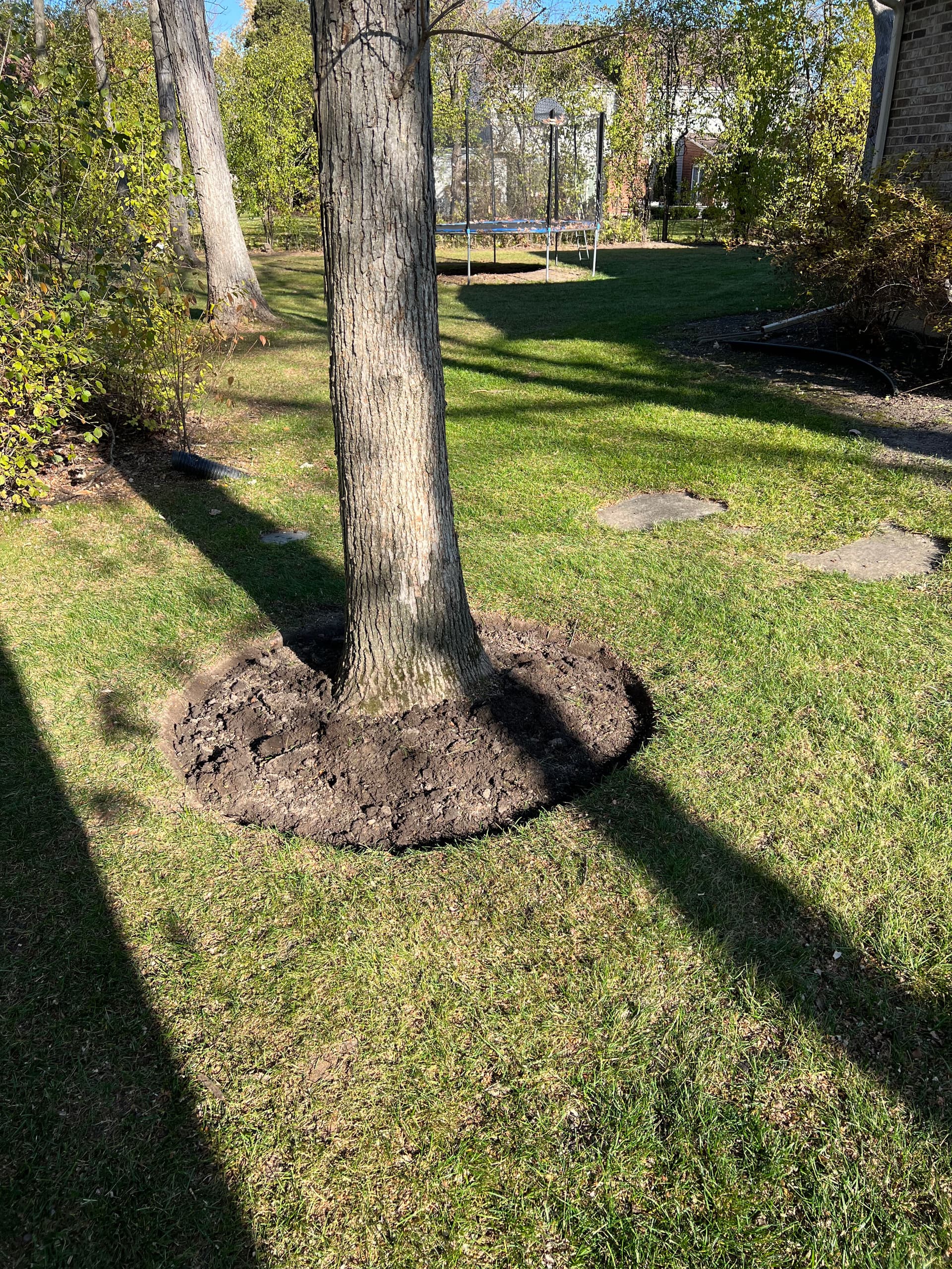 Gallery photos for Lawn Maintenance at a Beautiful Residence: Image #3