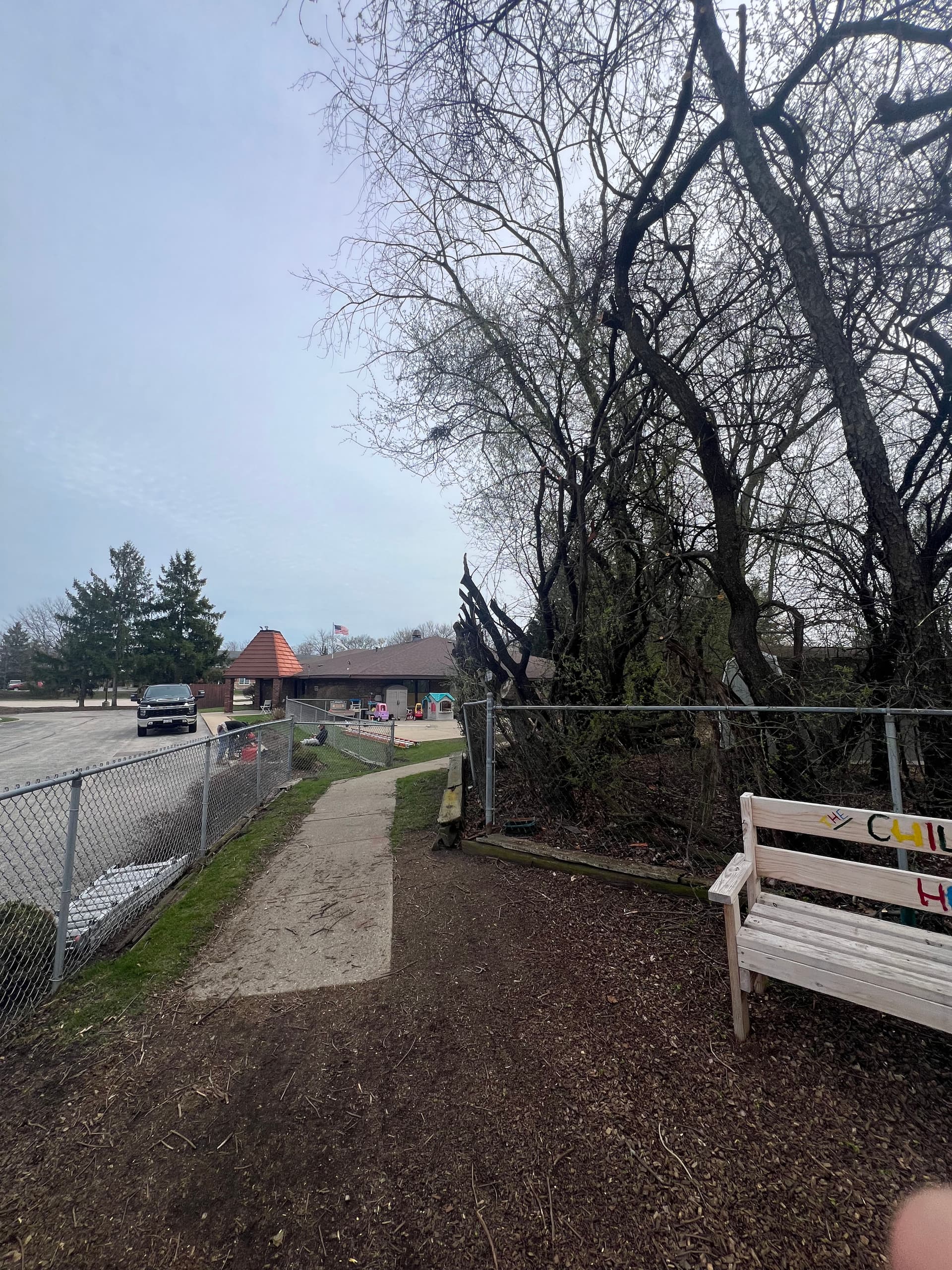 Gallery photos for Tree Trimming and Branch Cleanup at a Community Play Area: Image #7