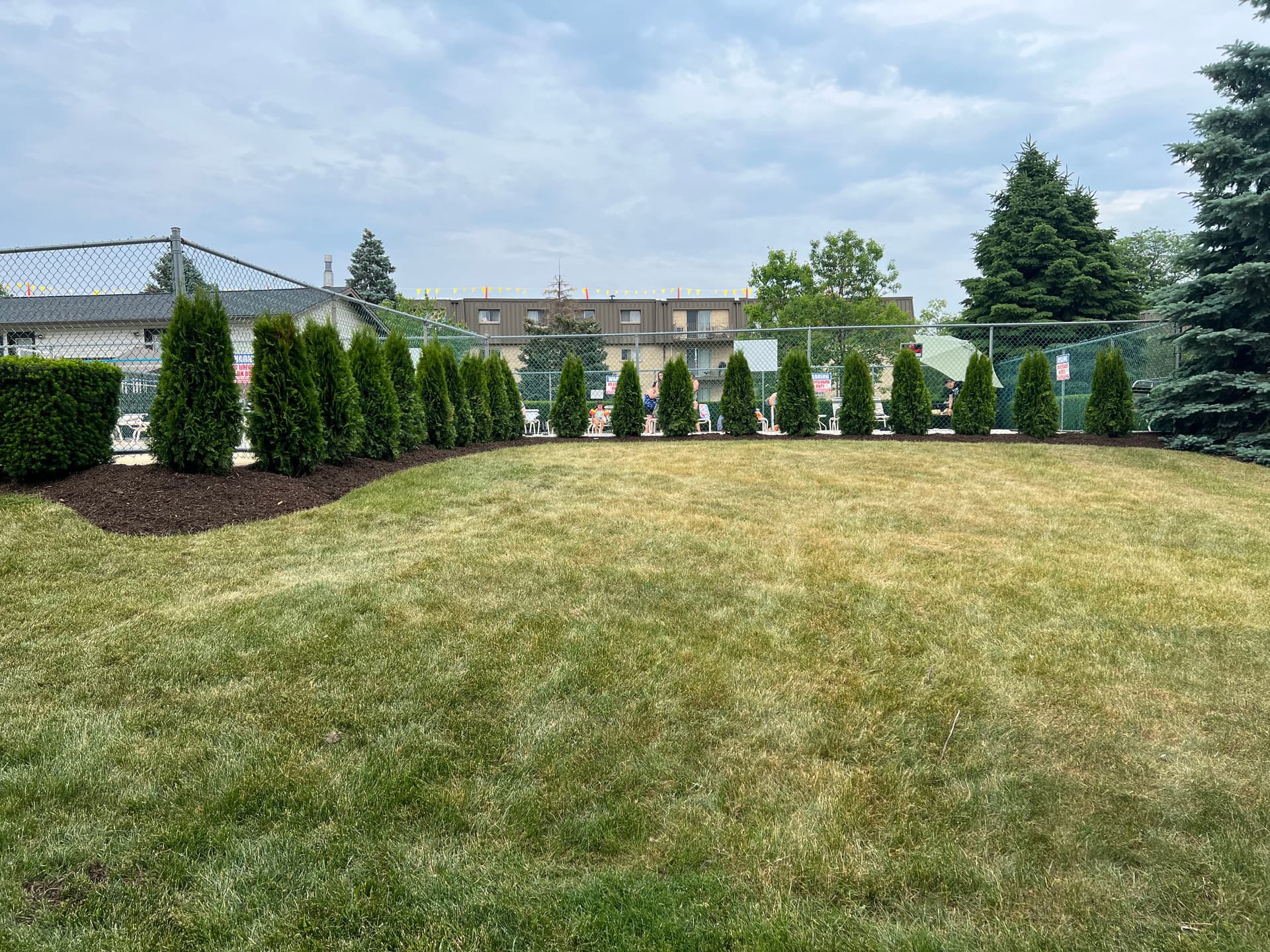 Gallery photos for Comprehensive Lawn Maintenance and Drainage Solutions: Image #1