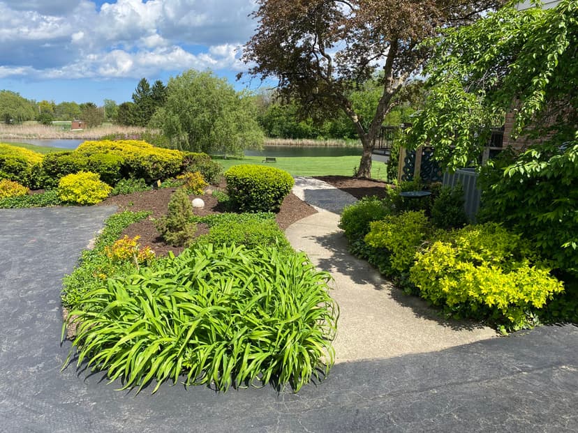 Lush garden pathway with vibrant greenery beside serene lake under sunny sky.
