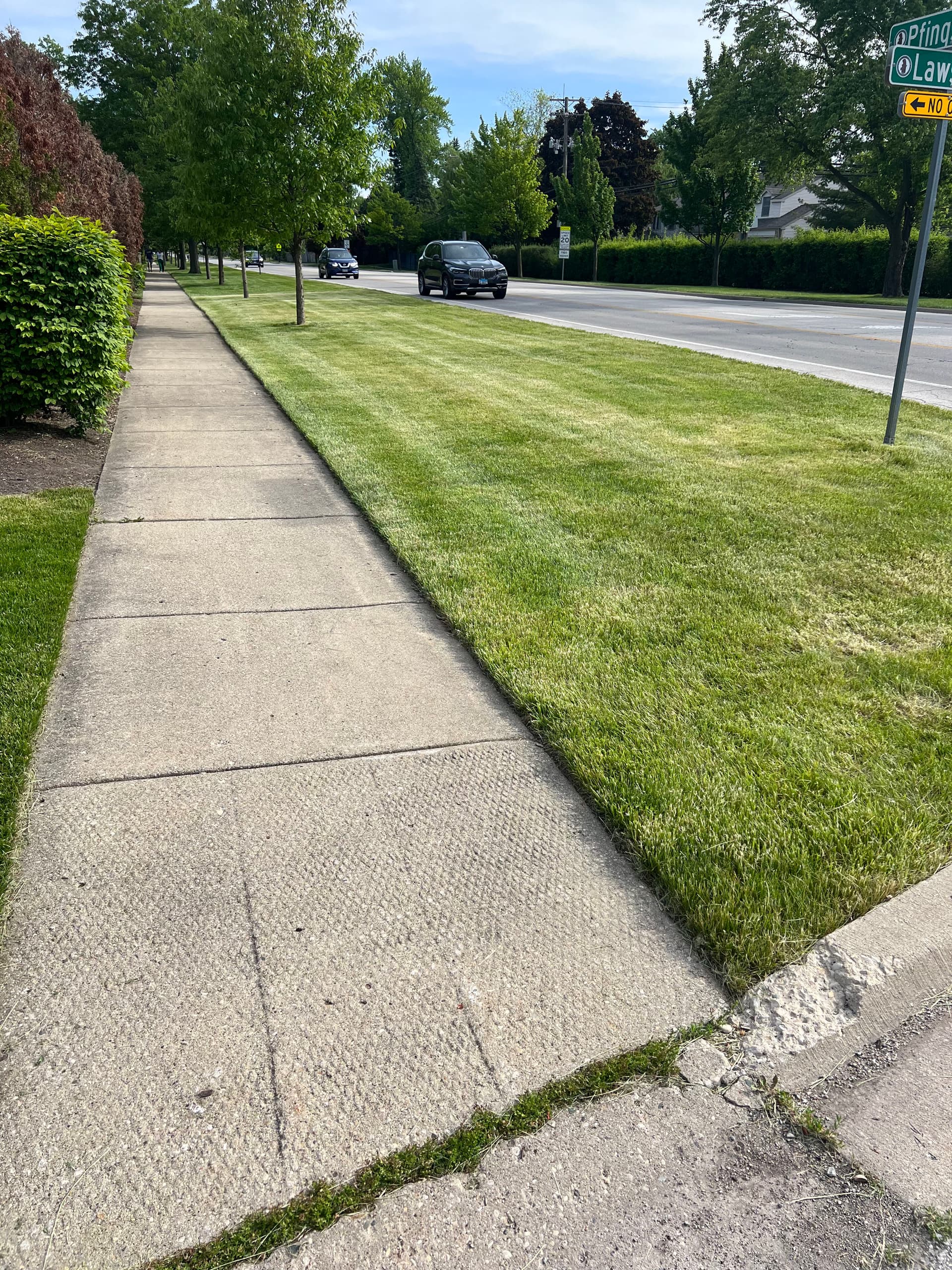 Gallery photos for Achieve a Lush and Well-Cared-For Lawn: Image #2