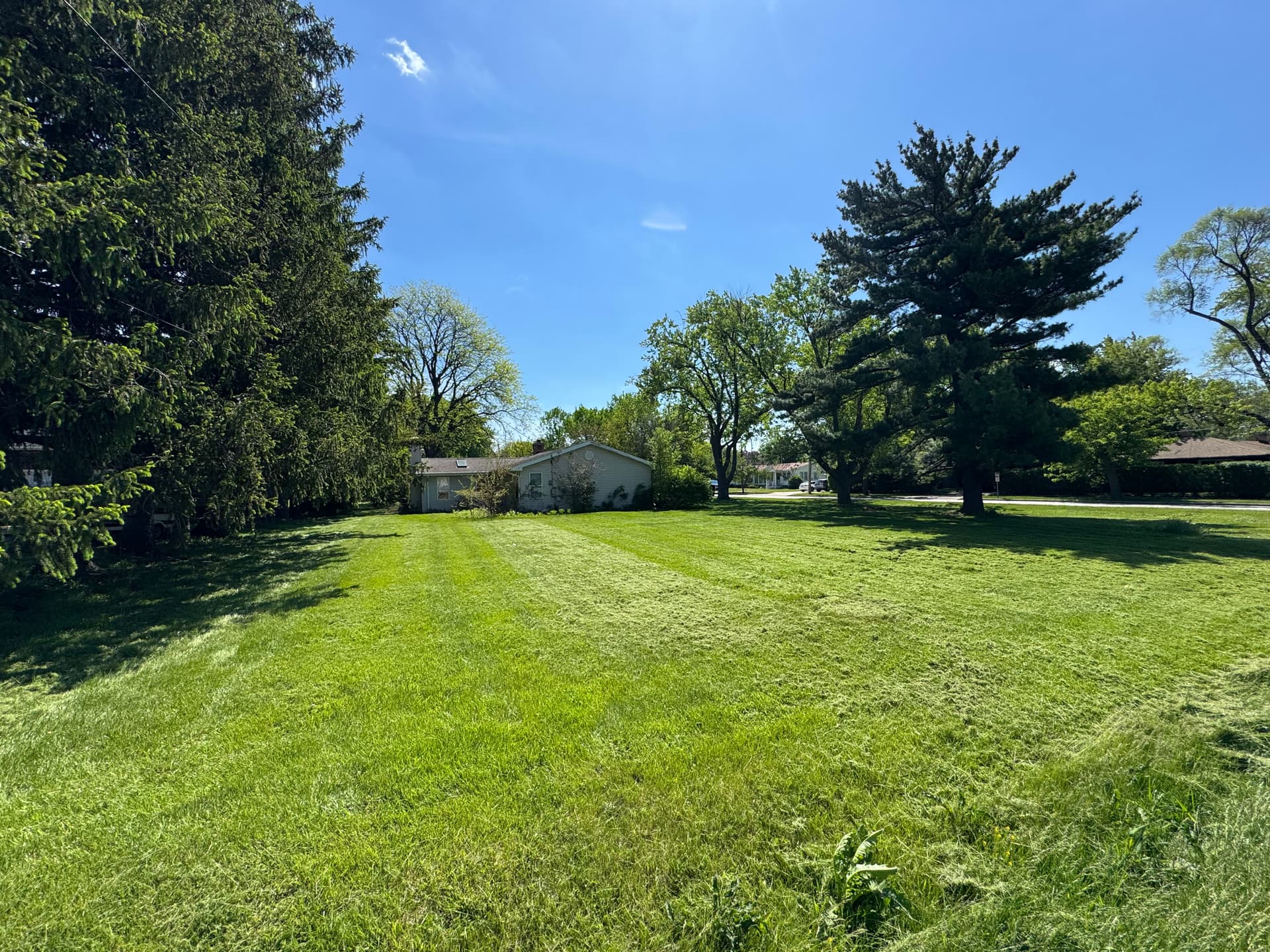 Gallery photos for Overgrown Lawn Brought Back Under Control: Image #1