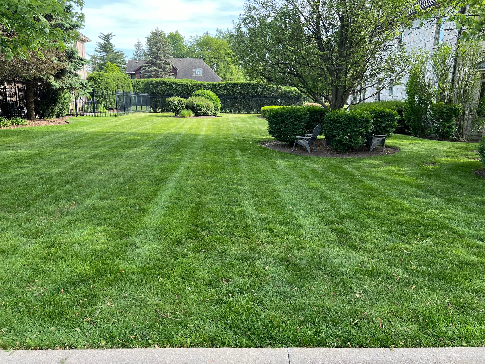 Achieve a Lush and Well-Cared-For Lawn image