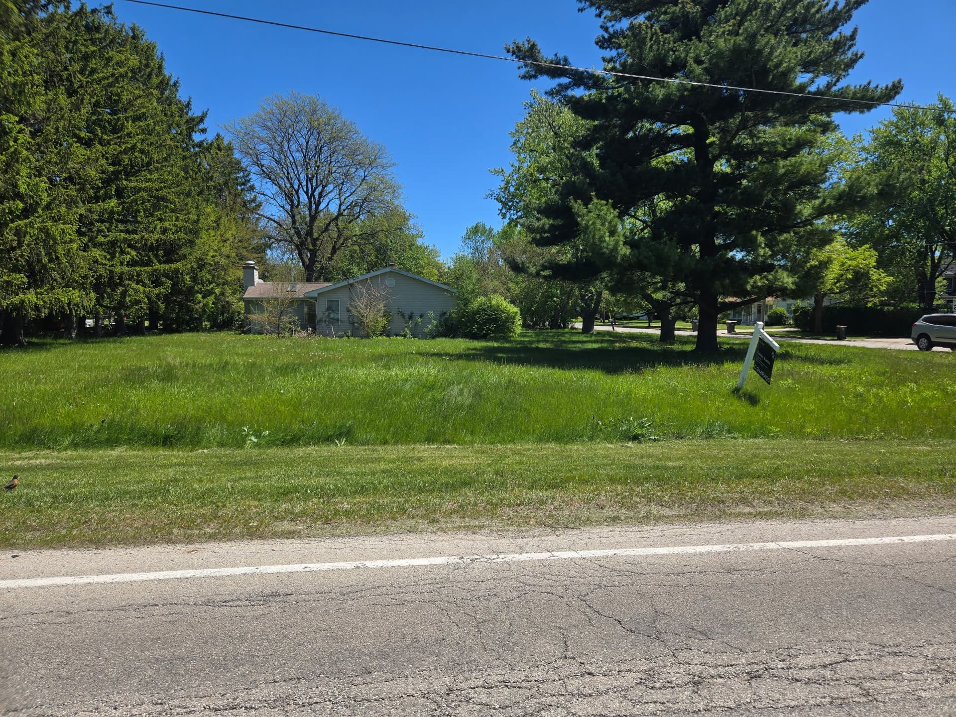 Overgrown Lawn Brought Back Under Control image