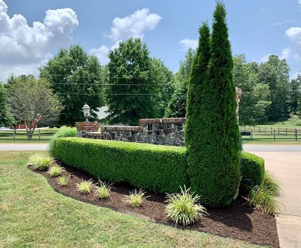 Contact form background